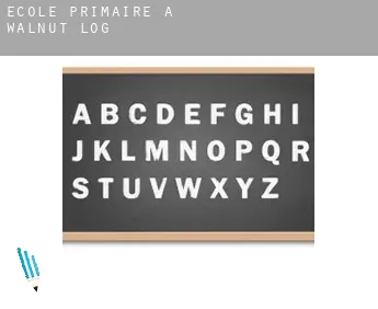 École primaire à  Walnut Log