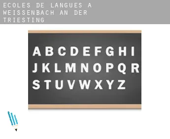 Écoles de langues à  Weissenbach an der Triesting