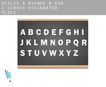 Écoles à  Avenue B and C