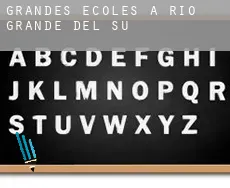 Grandes écoles à Rio Grande do Sul