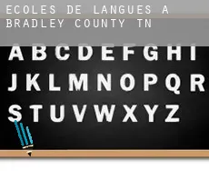 Écoles de langues à  Bradley