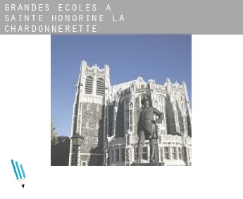 Grandes écoles à  Sainte-Honorine-la-Chardonnerette