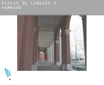 Écoles de langues à  Hammond