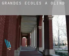 Grandes écoles à Olinda