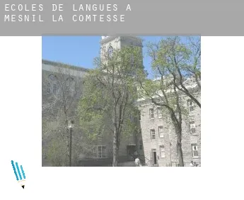 Écoles de langues à  Mesnil-la-Comtesse