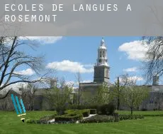 Écoles de langues à Rosemont
