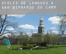 Écoles de langues à São Bernardo do Campo