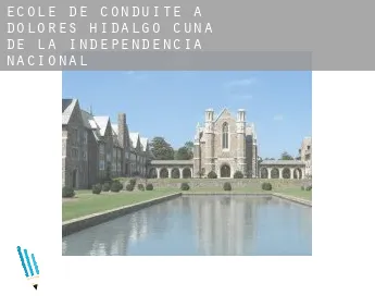 École de conduite à Dolores Hidalgo Cuna de la Independencia Nacional