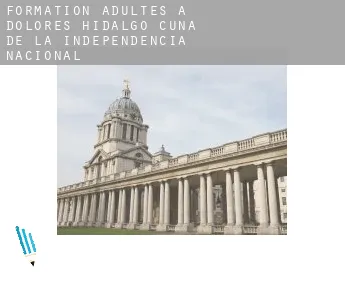 Formation adultes à  Dolores Hidalgo Cuna de la Independencia Nacional