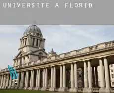 Universite à Florida
