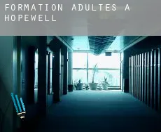 Formation adultes à  Hopewell
