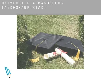 Universite à  Magdeburg Landeshauptstadt
