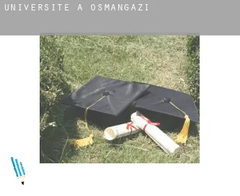 Universite à  Osmangazi