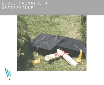 École primaire à  Greigsville