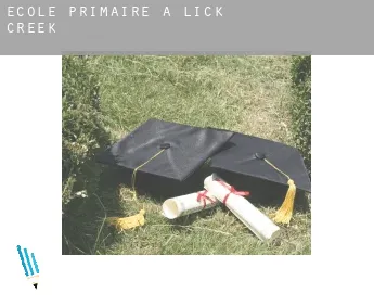 École primaire à  Lick Creek