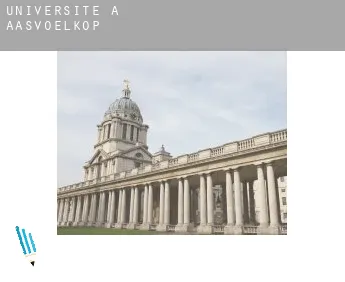 Universite à  Aasvoëlkop