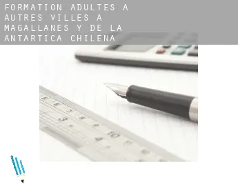 Formation adultes à Autres Villes à Magallanes y de la Antartica Chilena