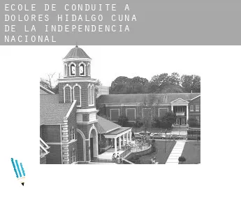 École de conduite à  Dolores Hidalgo Cuna de la Independencia Nacional