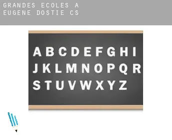 Grandes écoles à  Eugène-Dostie (census area)