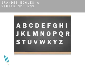 Grandes écoles à  Winter Springs