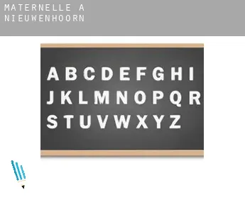 Maternelle à  Nieuwenhoorn