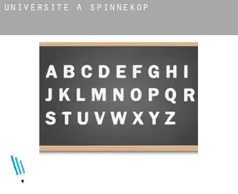Universite à  Spinnekop