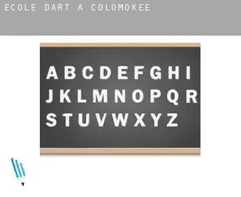 École d'art à  Colomokee