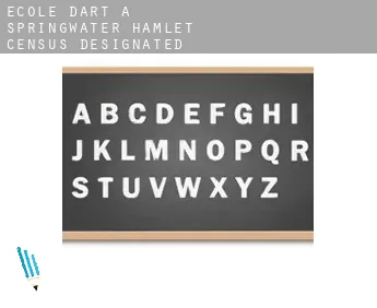 École d'art à  Springwater Hamlet