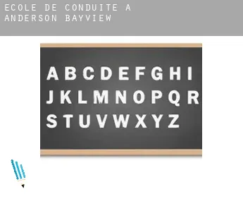 École de conduite à  Anderson Bayview