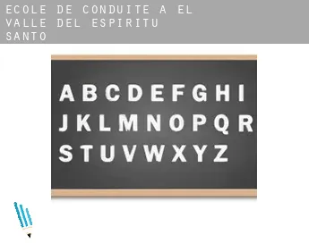 École de conduite à  El Valle del Espíritu Santo