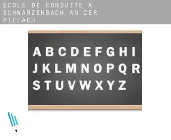 École de conduite à  Schwarzenbach an der Pielach