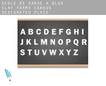 École de danse à  Blue Clay Farms