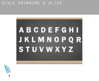 École primaire à  Alice
