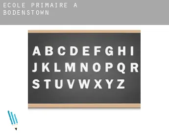 École primaire à  Bodenstown