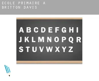 École primaire à  Britton Davis