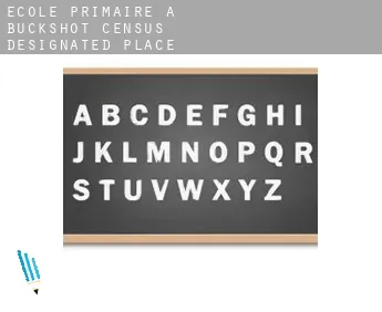 École primaire à  Buckshot