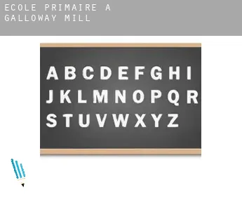 École primaire à  Galloway Mill