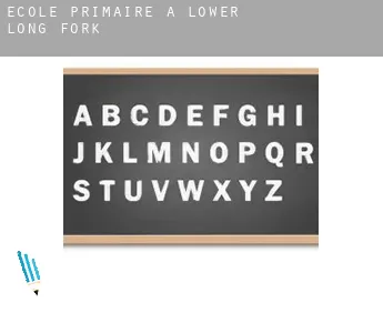 École primaire à  Lower Long Fork