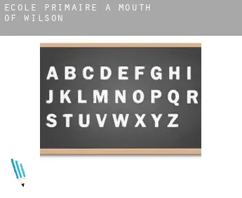 École primaire à  Mouth of Wilson