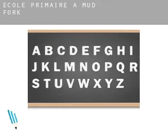 École primaire à  Mud Fork
