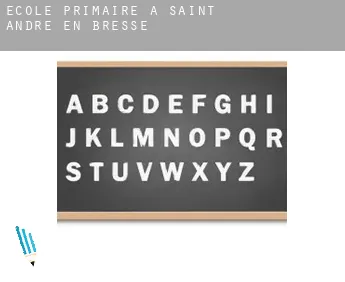 École primaire à  Saint-André-en-Bresse