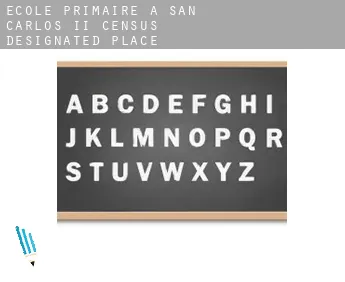 École primaire à  San Carlos II