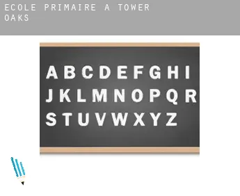 École primaire à  Tower Oaks