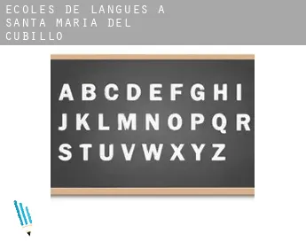 Écoles de langues à  Santa María del Cubillo