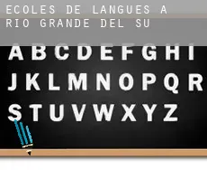 Écoles de langues à  Rio Grande do Sul
