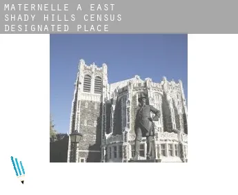 Maternelle à  East Shady Hills